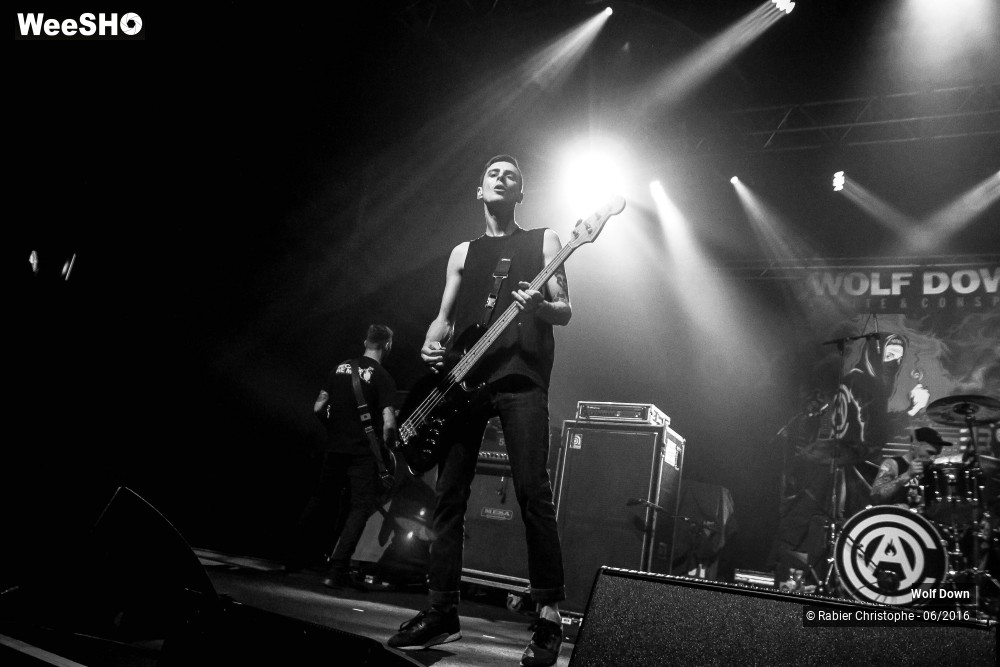 9/16 photos du spectacle Wolf  Down