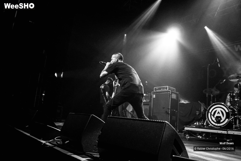 10/16 photos du spectacle Wolf  Down