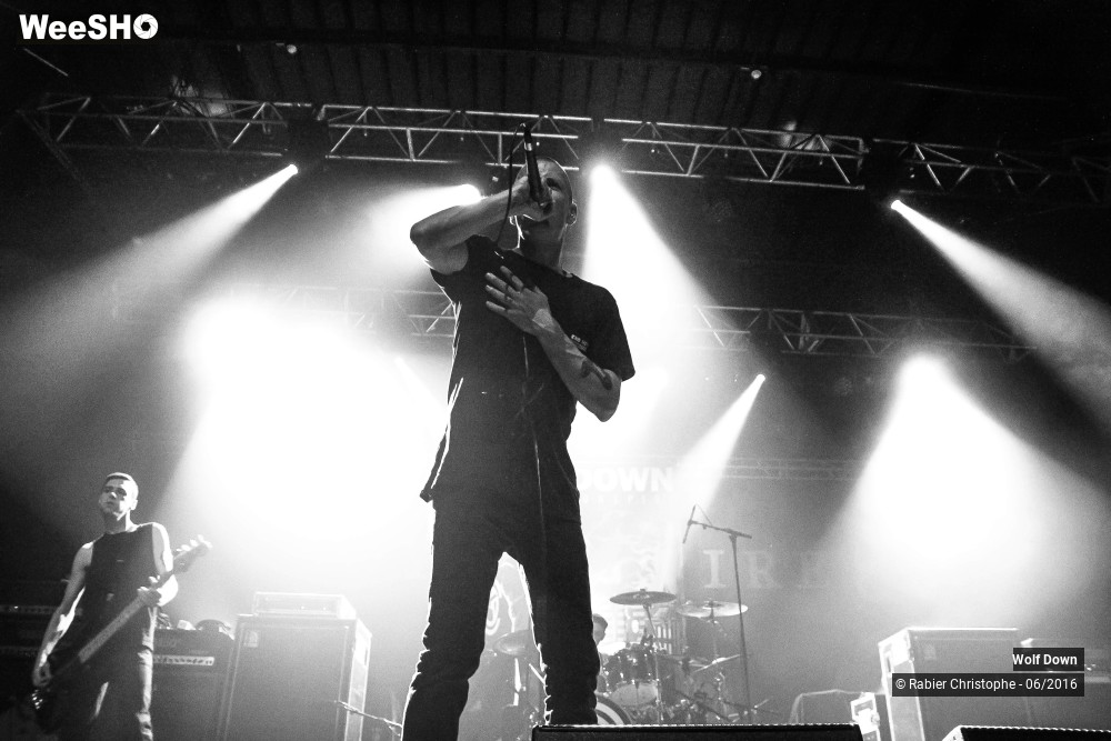 11/16 photos du spectacle Wolf  Down
