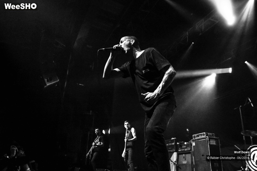 12/16 photos du spectacle Wolf  Down