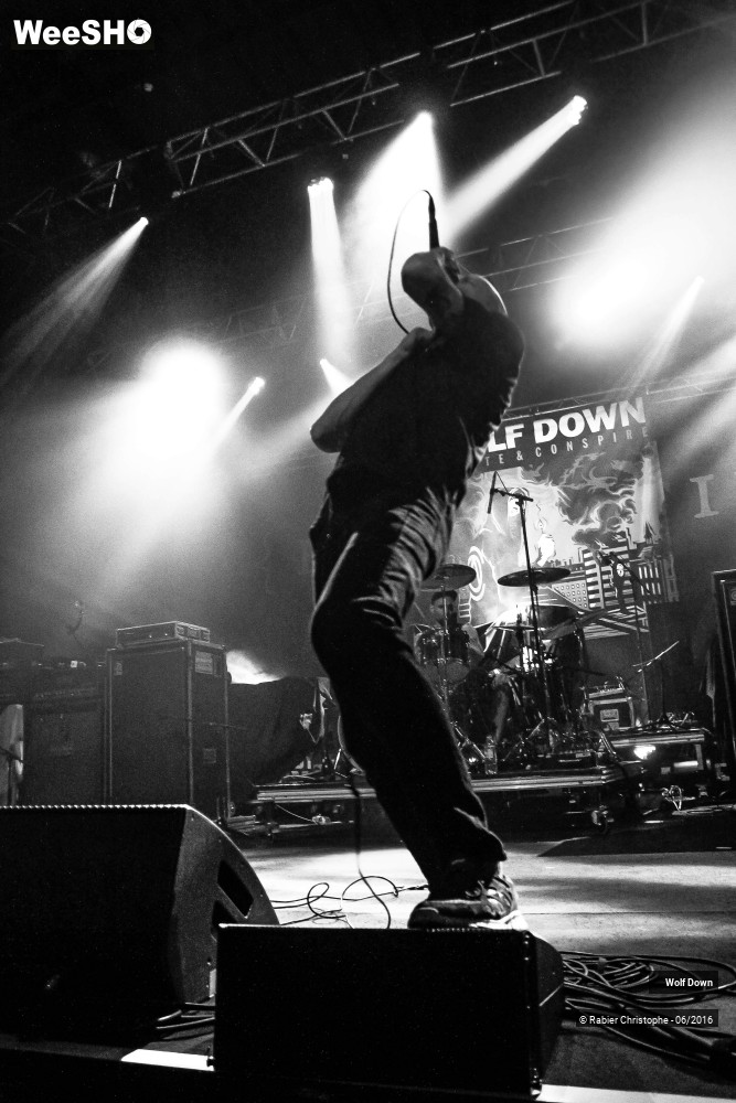 13/16 photos du spectacle Wolf  Down