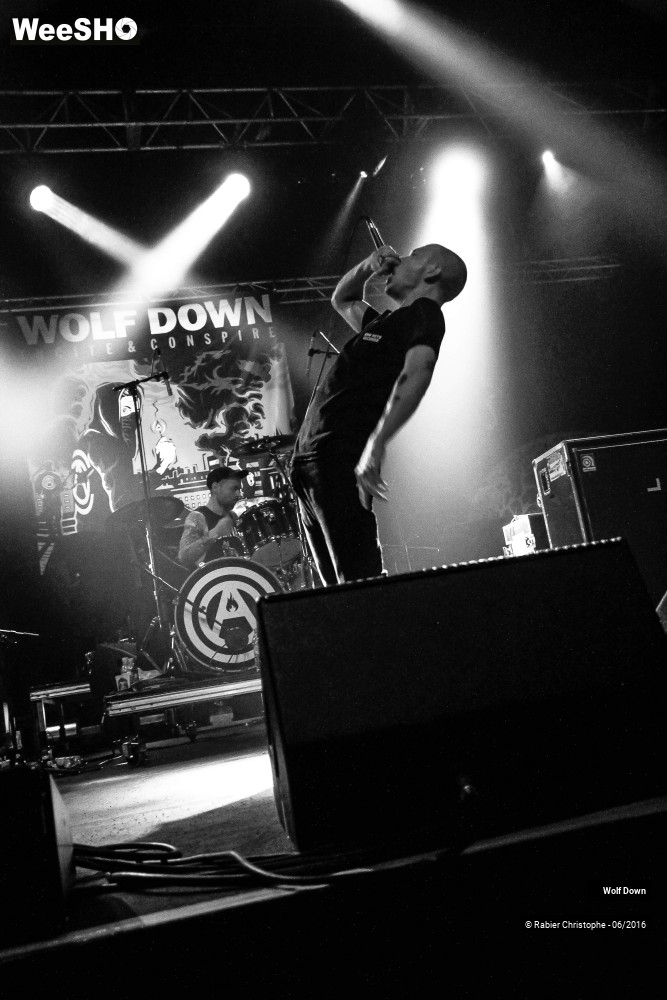 14/16 photos du spectacle Wolf  Down