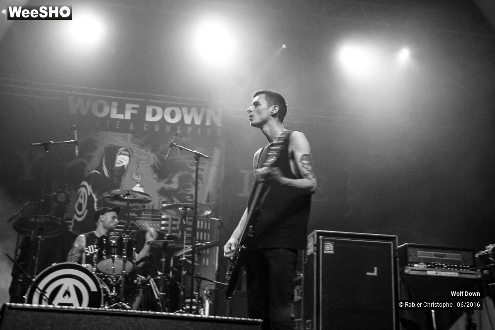 16/16 photos du spectacle Wolf  Down