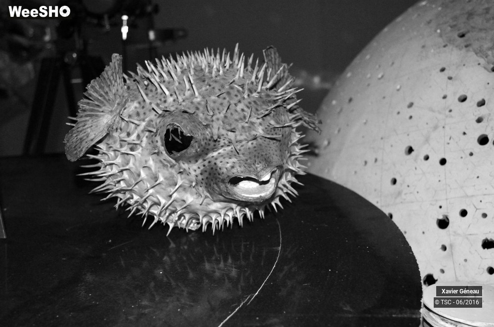 7/10 photos du spectacle Planetarium