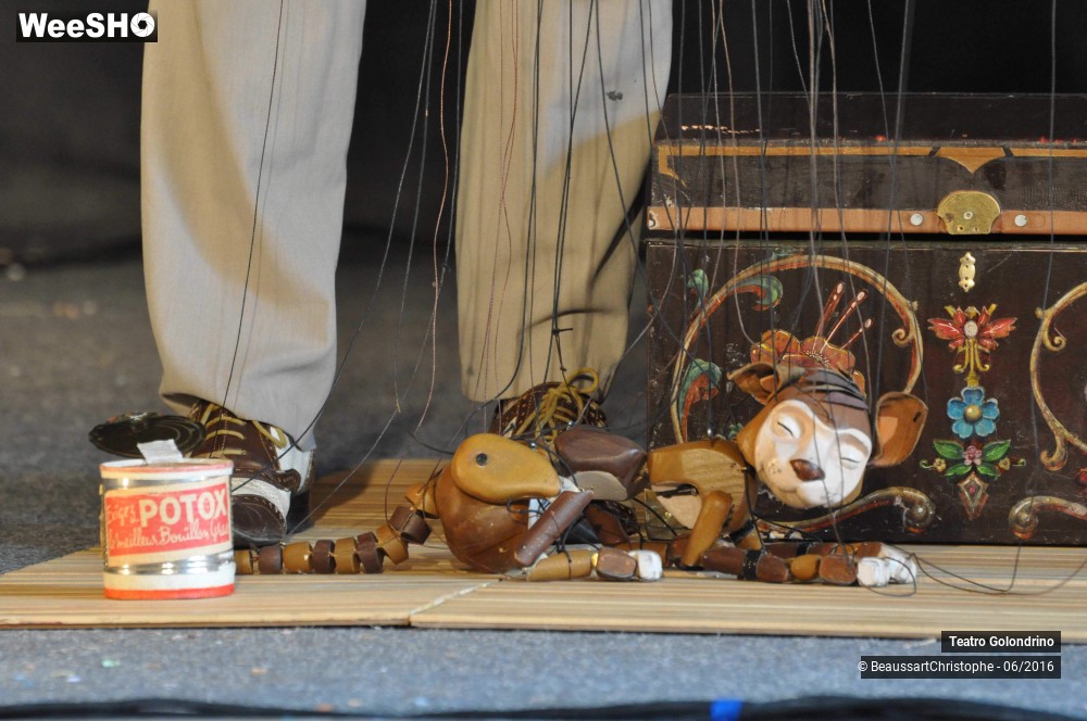 4/27 photos du spectacle Les Petites histoires Félines
