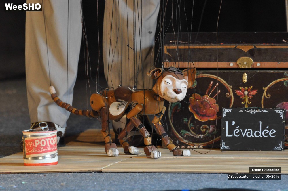 14/27 photos du spectacle Les Petites histoires Félines