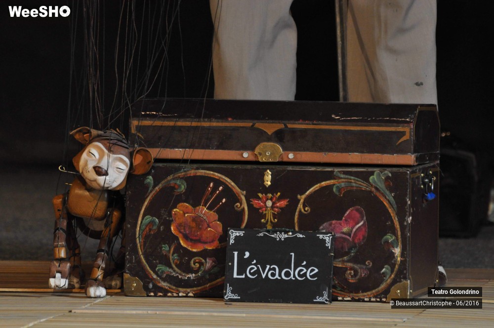 16/27 photos du spectacle Les Petites histoires Félines
