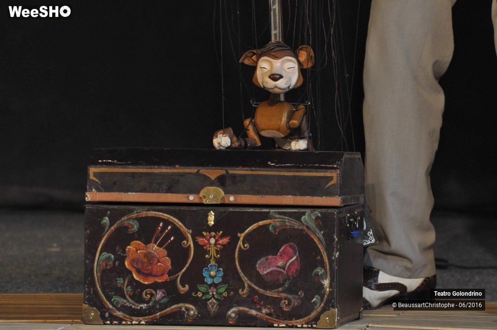 19/27 photos du spectacle Les Petites histoires Félines