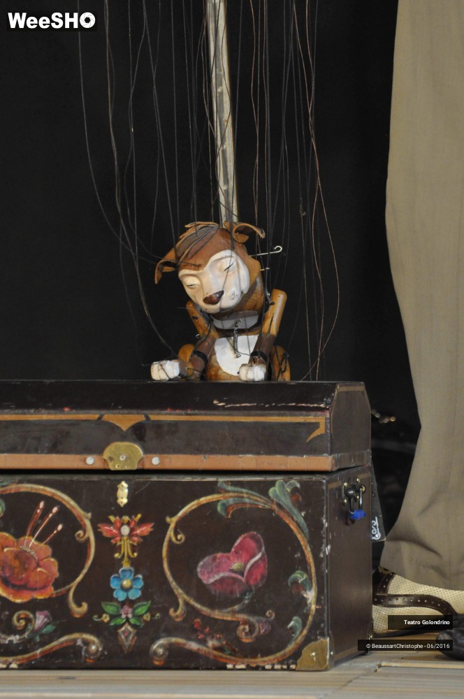 27/27 photos du spectacle Les Petites histoires Félines
