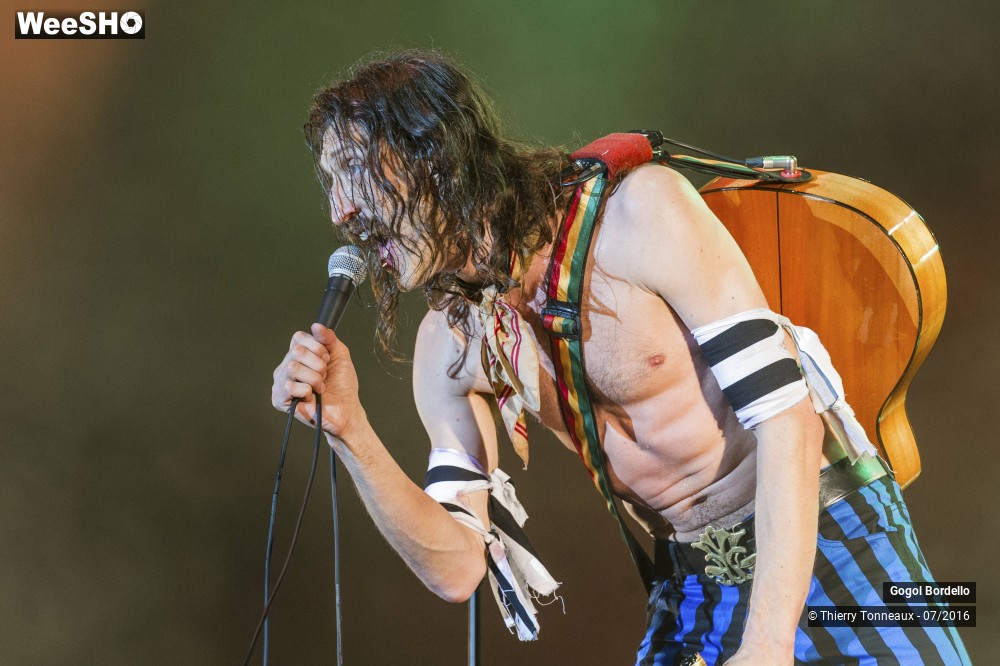 14/50 photos du spectacle Gogol Bordello 2