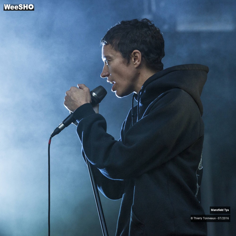 28/32 photos du spectacle Mansfield Tya