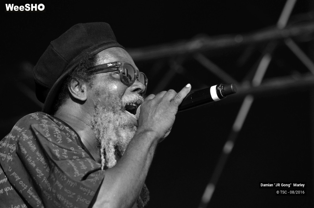 1/16 photos du spectacle Damian "JR Gong" Marley