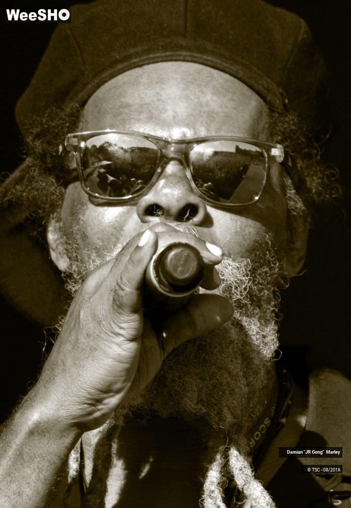 13/16 photos du spectacle Damian "JR Gong" Marley
