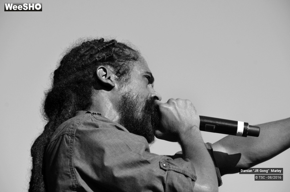 14/16 photos du spectacle Damian "JR Gong" Marley