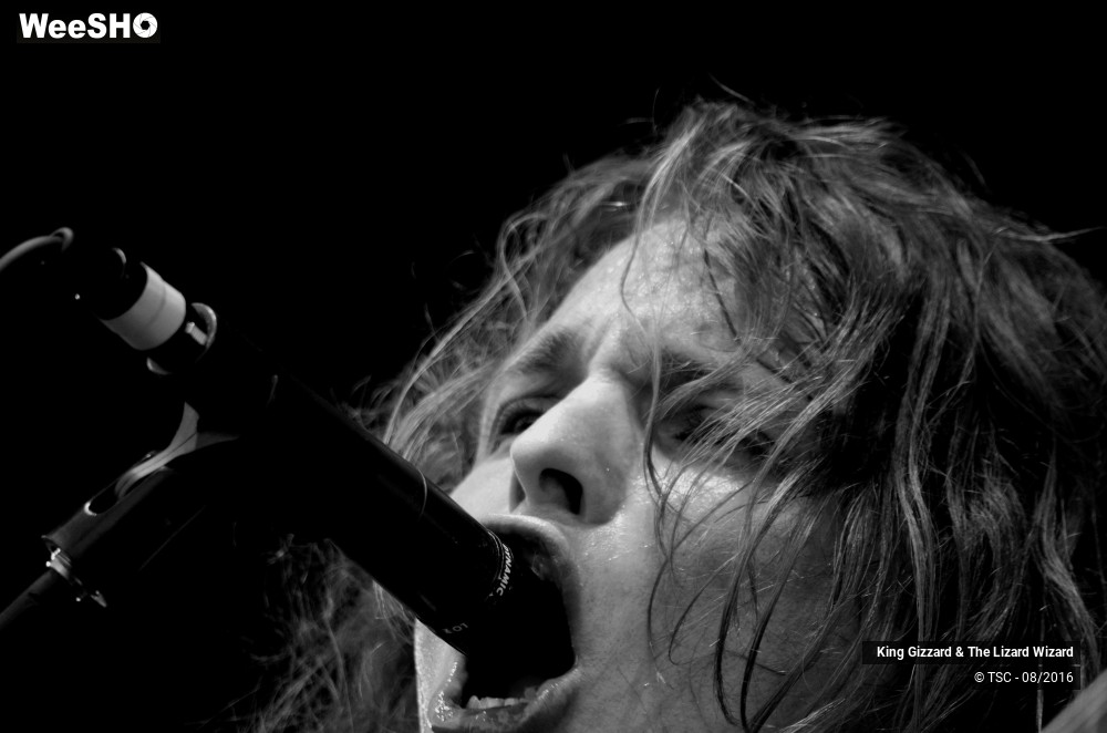 5/14 photos du spectacle King Gizzard & The Lizard Wizard