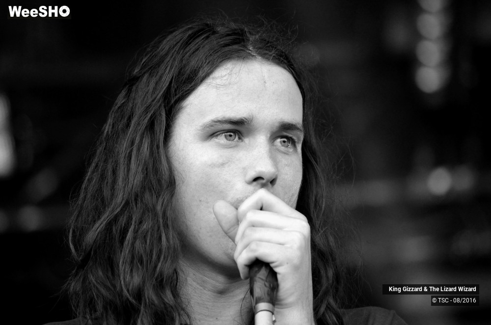 14/14 photos du spectacle King Gizzard & The Lizard Wizard