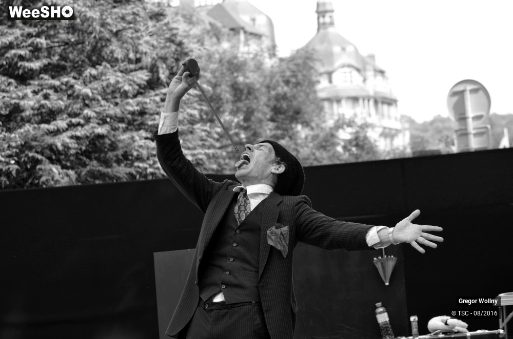 6/31 photos du spectacle Zolstock
