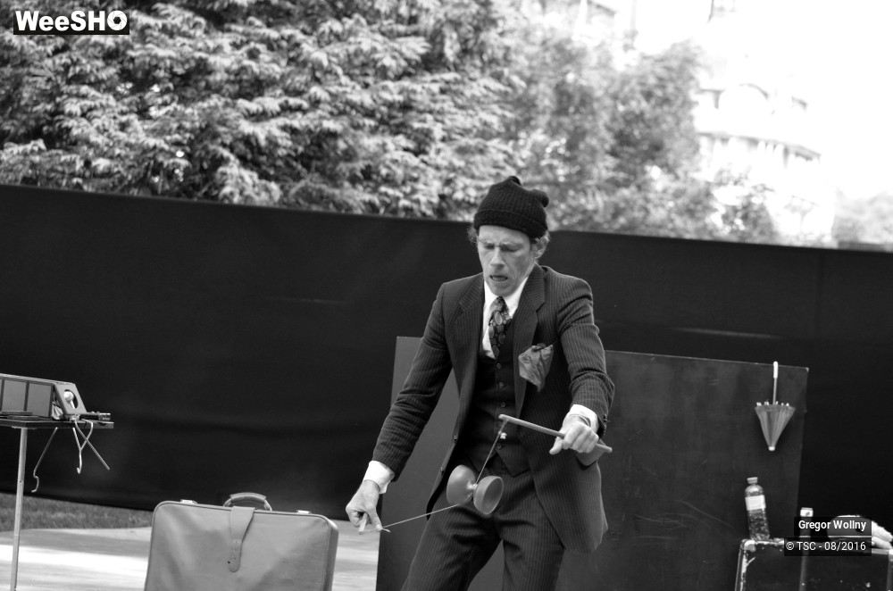 19/31 photos du spectacle Zolstock