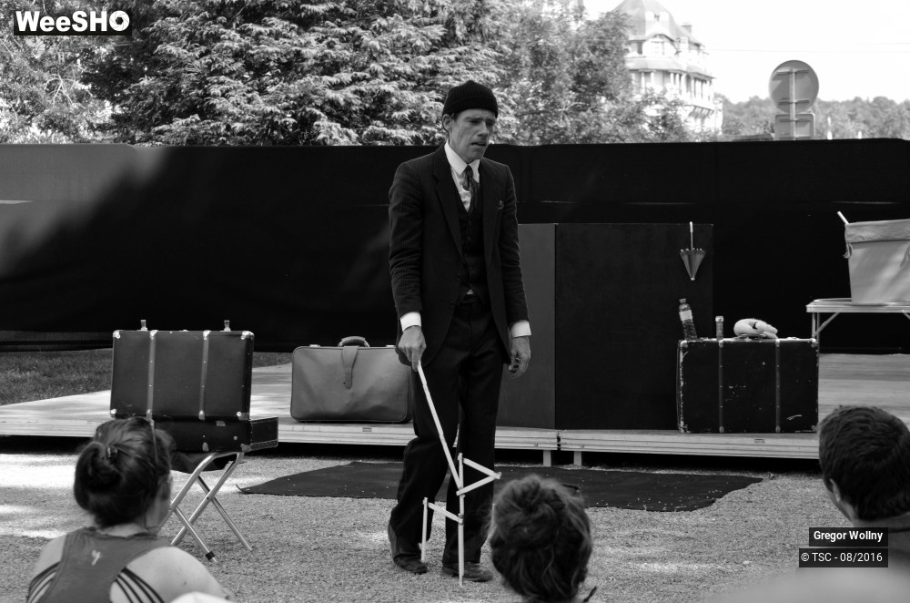 20/31 photos du spectacle Zolstock