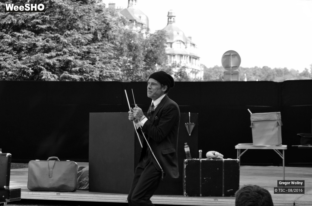 23/31 photos du spectacle Zolstock