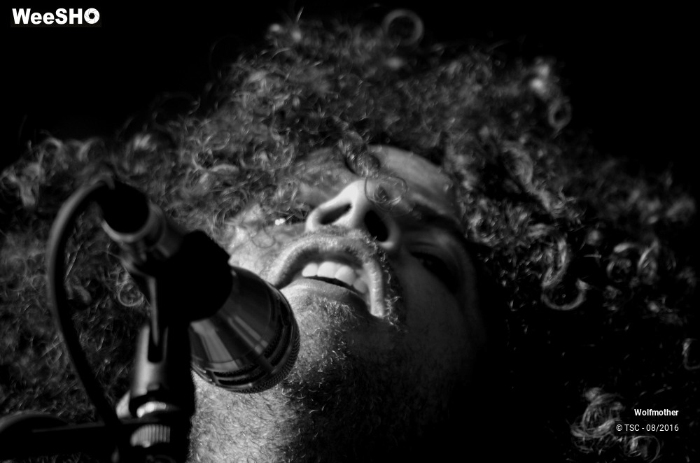 2/24 photos du spectacle Wolfmother