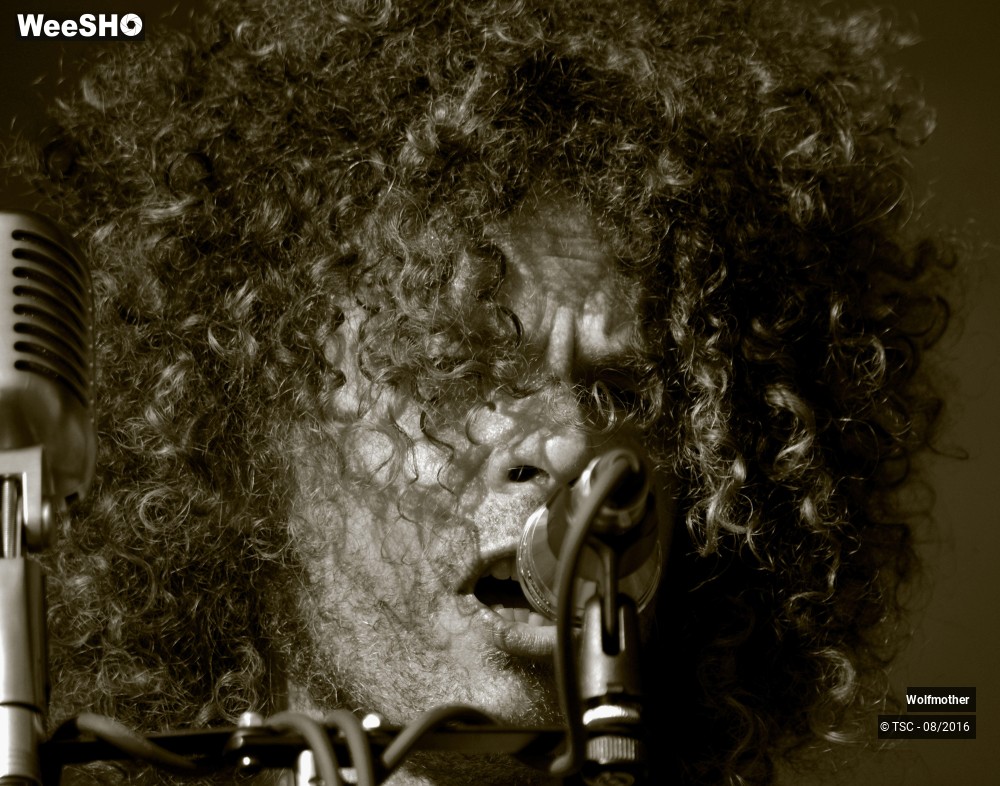 3/24 photos du spectacle Wolfmother