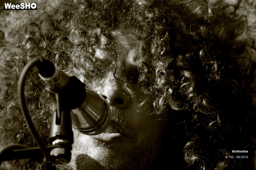 14/24 photos du spectacle Wolfmother