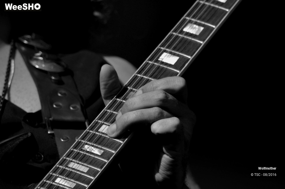 16/24 photos du spectacle Wolfmother
