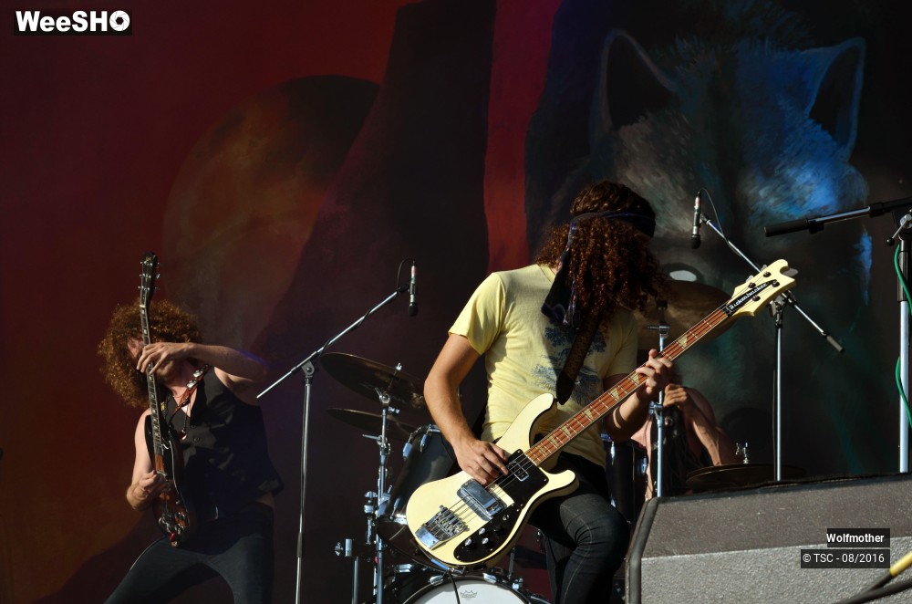20/24 photos du spectacle Wolfmother