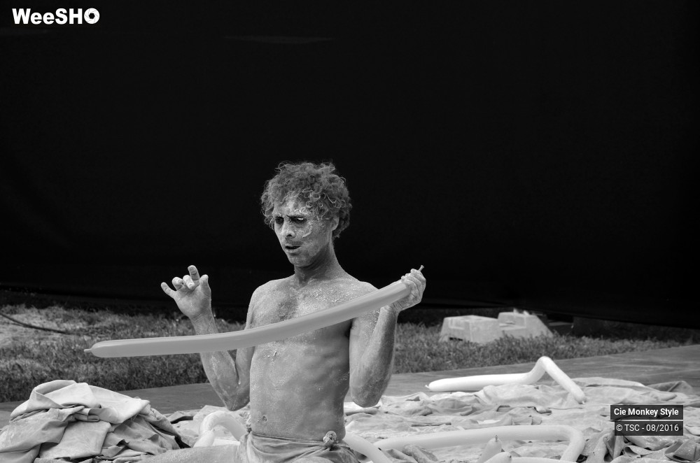 28/28 photos du spectacle Babylloon
