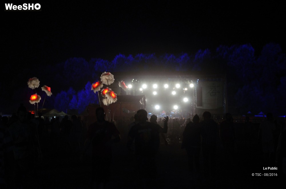 16/28 photos du spectacle Ambiance Cabaret vert 2016 Jour 1