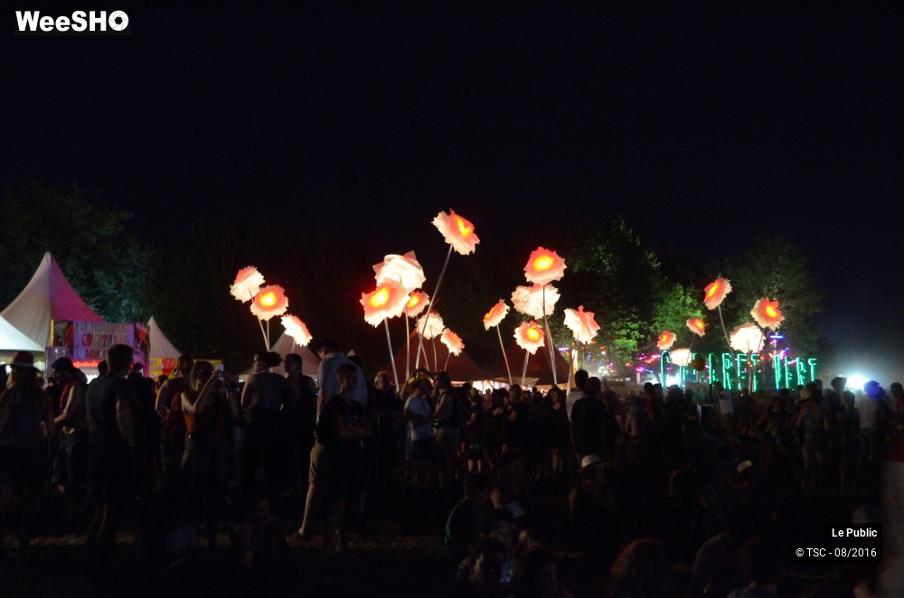 19/28 photos du spectacle Ambiance Cabaret vert 2016 Jour 1