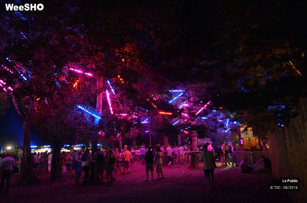 20/28 photos du spectacle Ambiance Cabaret vert 2016 Jour 1