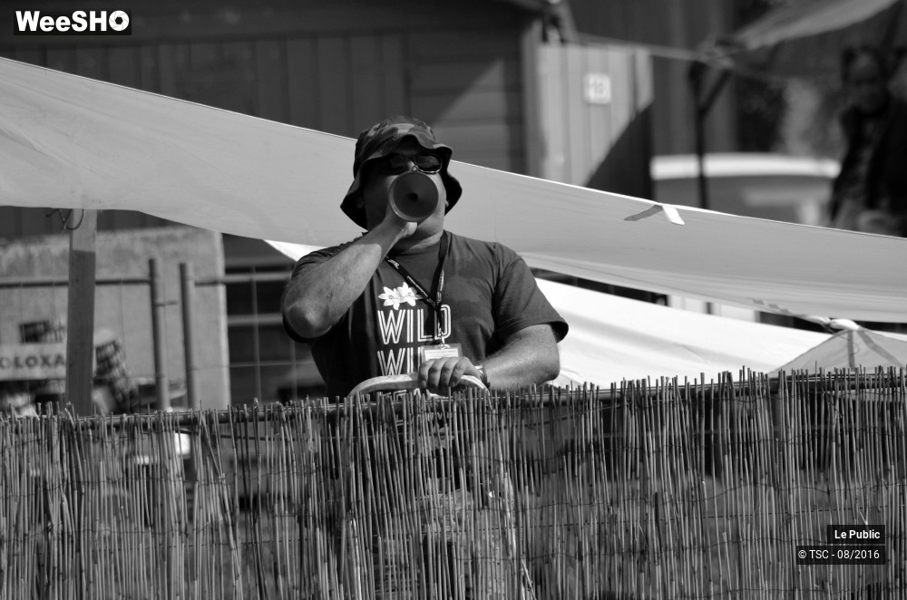13/43 photos du spectacle Ambiance Cabaret vert 2016 Jour 2