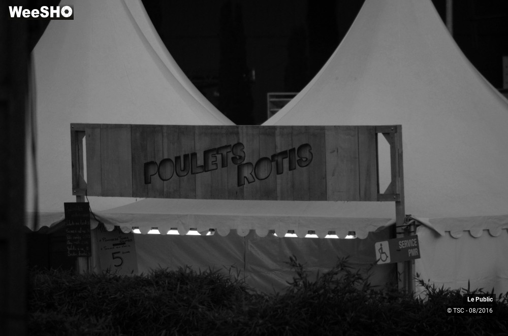 3/23 photos du spectacle Ambiance Cabaret vert 2016 Jour 4