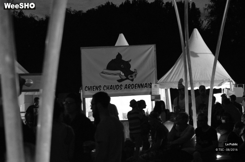 18/23 photos du spectacle Ambiance Cabaret vert 2016 Jour 4