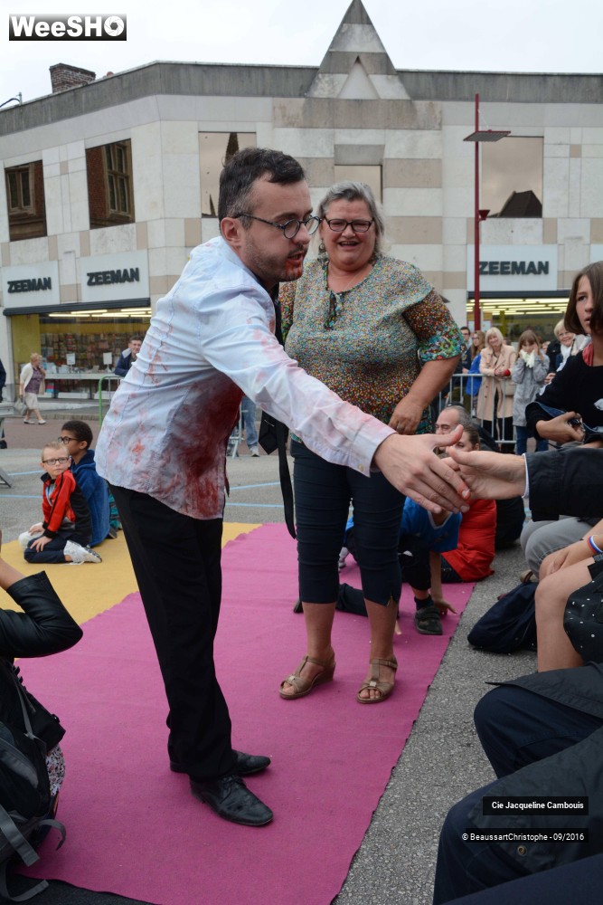 1/50 photos du spectacle Les Vipères Assassines