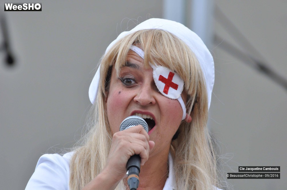 10/50 photos du spectacle Les Vipères Assassines