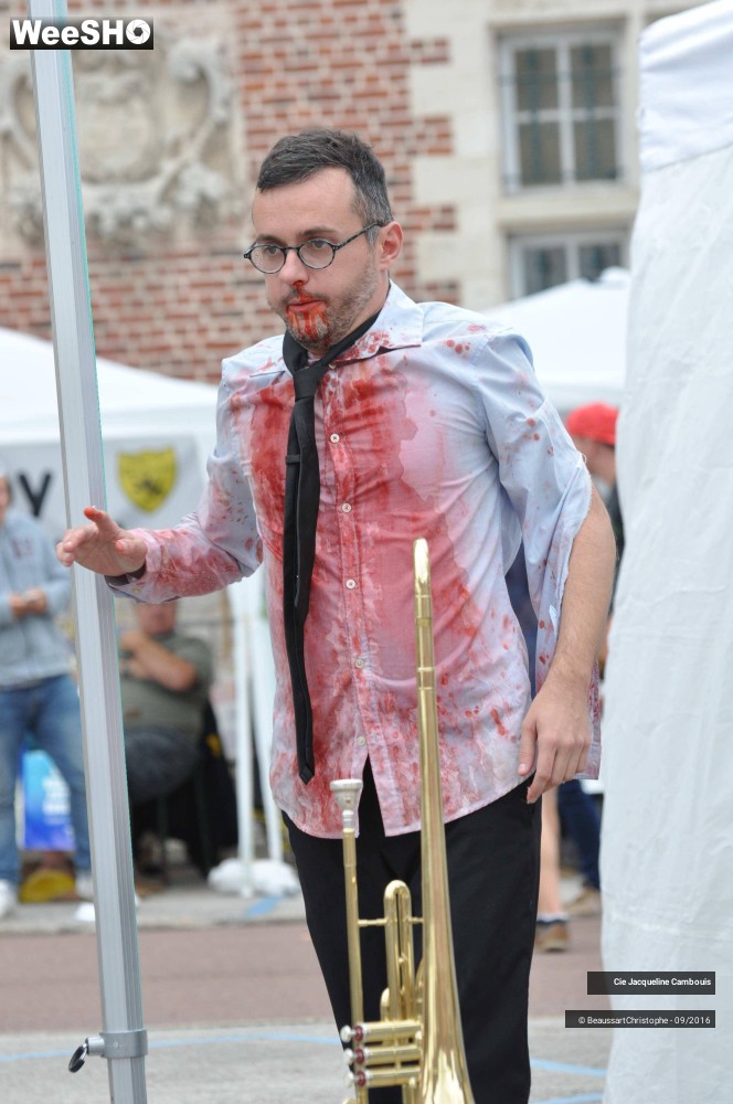 15/50 photos du spectacle Les Vipères Assassines