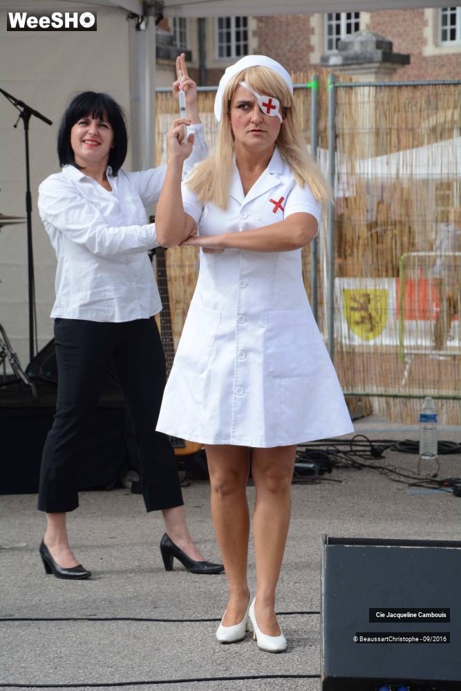 16/50 photos du spectacle Les Vipères Assassines