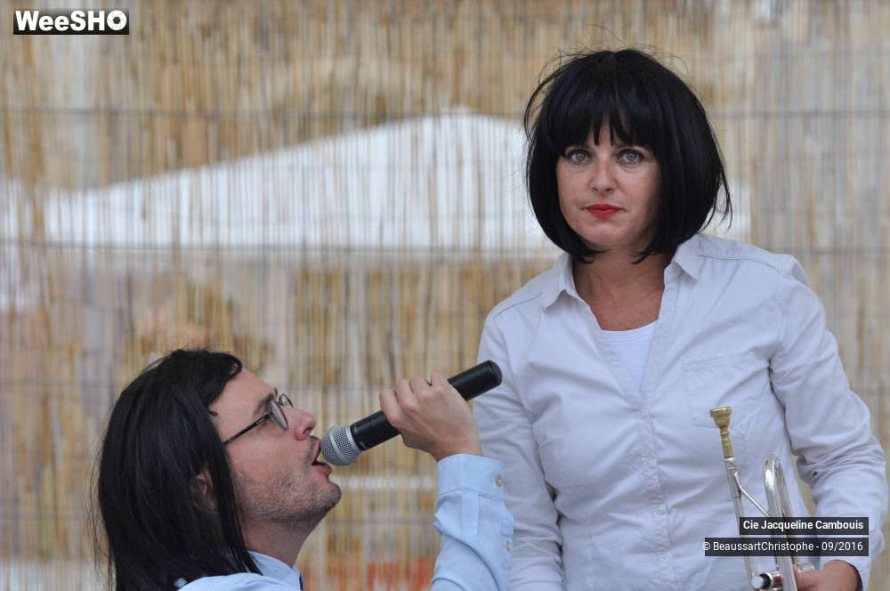 26/50 photos du spectacle Les Vipères Assassines