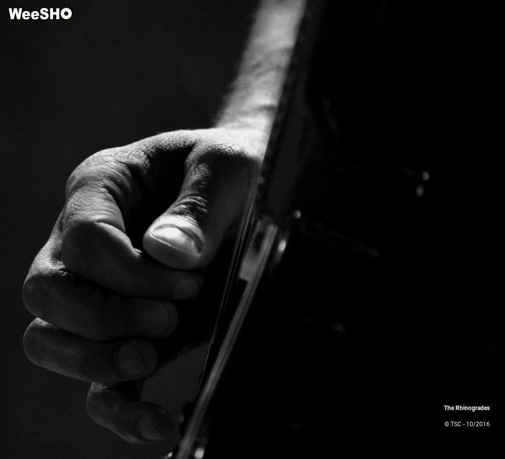 8/11 photos du spectacle The Rhinogrades