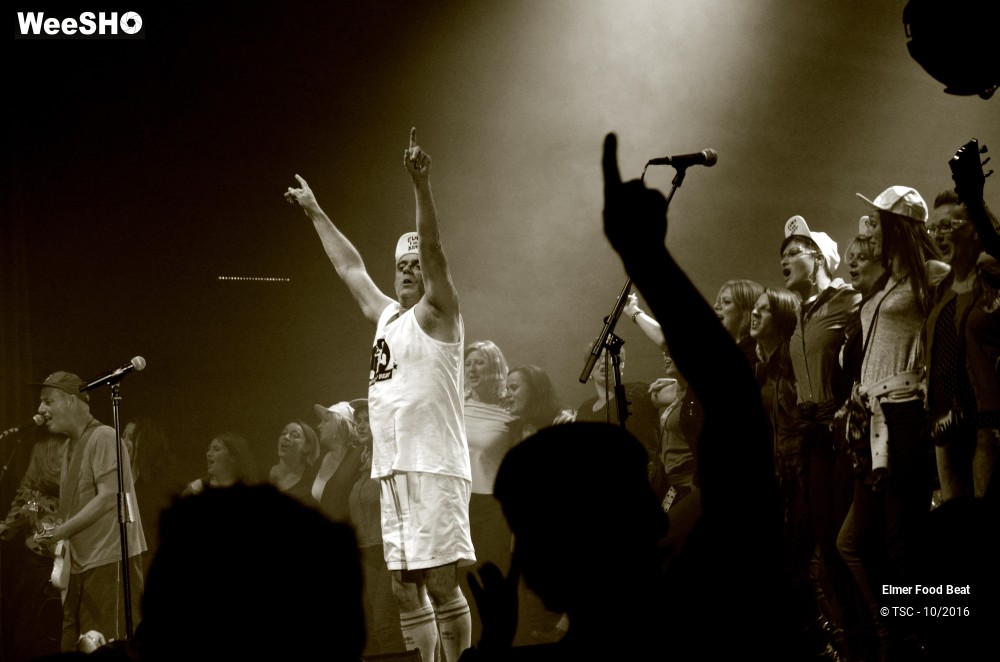 1/42 photos du spectacle Elmer Food Beat