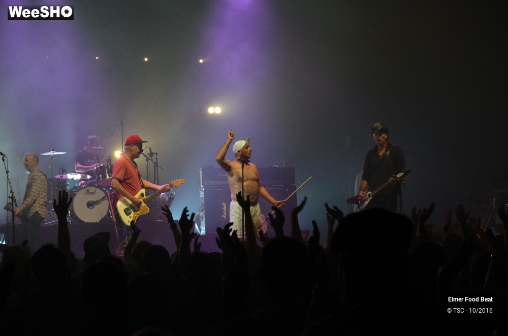 2/42 photos du spectacle Elmer Food Beat