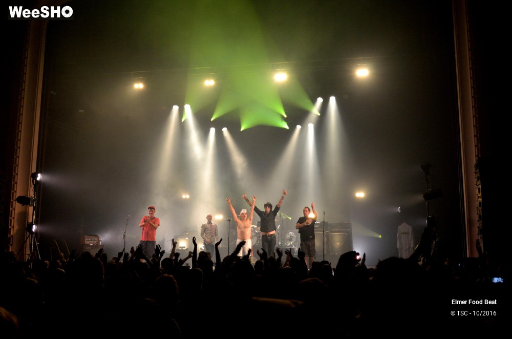 4/42 photos du spectacle Elmer Food Beat
