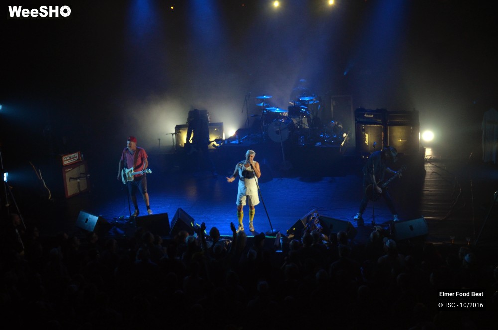 9/42 photos du spectacle Elmer Food Beat