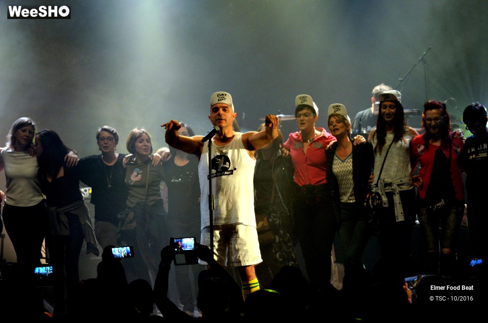 11/42 photos du spectacle Elmer Food Beat