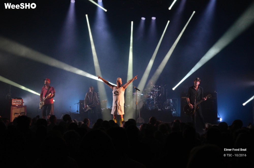 14/42 photos du spectacle Elmer Food Beat