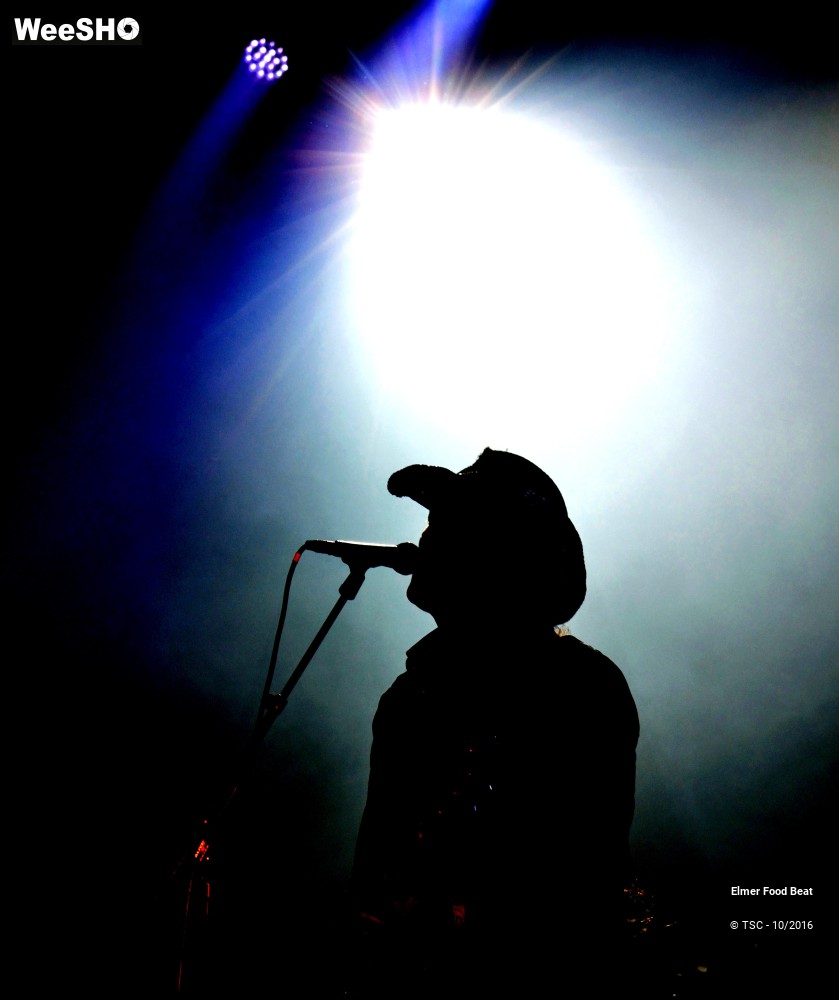 15/42 photos du spectacle Elmer Food Beat