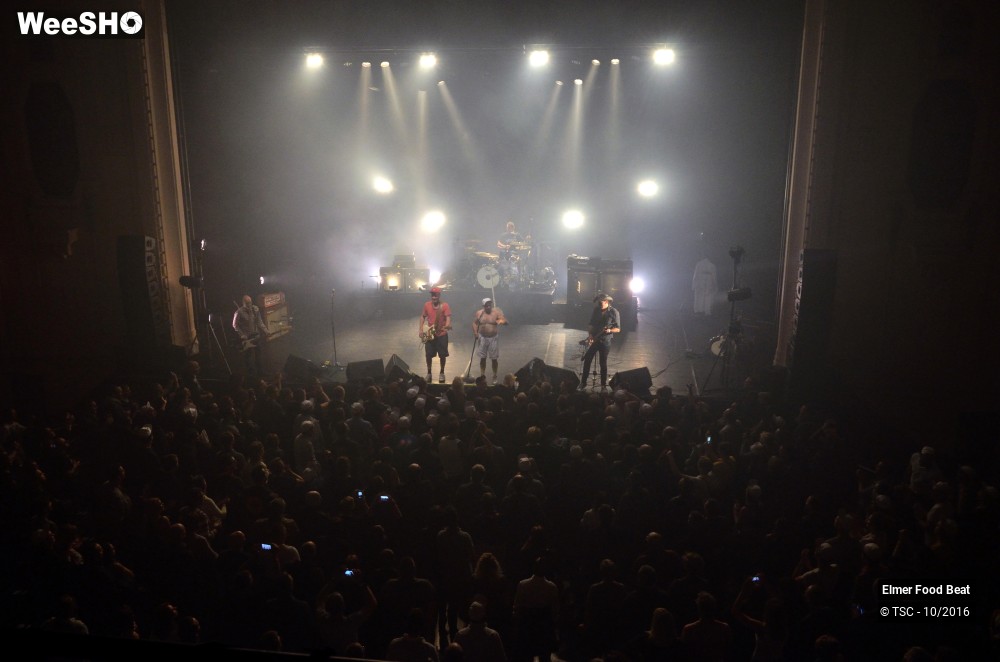 16/42 photos du spectacle Elmer Food Beat